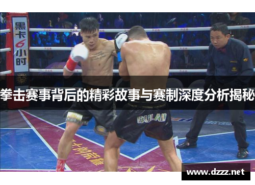 拳击赛事背后的精彩故事与赛制深度分析揭秘