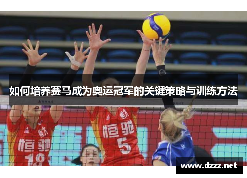 如何培养赛马成为奥运冠军的关键策略与训练方法