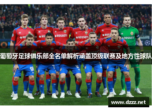 葡萄牙足球俱乐部全名单解析涵盖顶级联赛及地方性球队